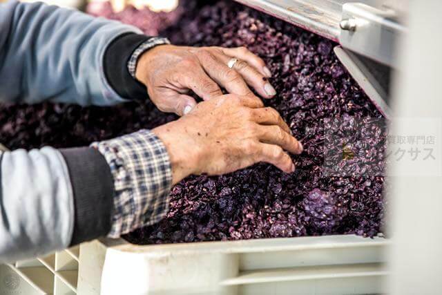 ブドウの発酵方法