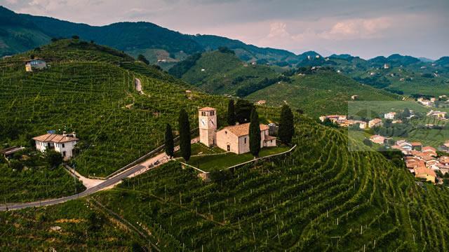 ワイン産地におけるイタリア