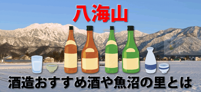 八海山は日本酒焼酎甘酒も有。酒造おすすめ酒と八海醸造魚沼の里とは